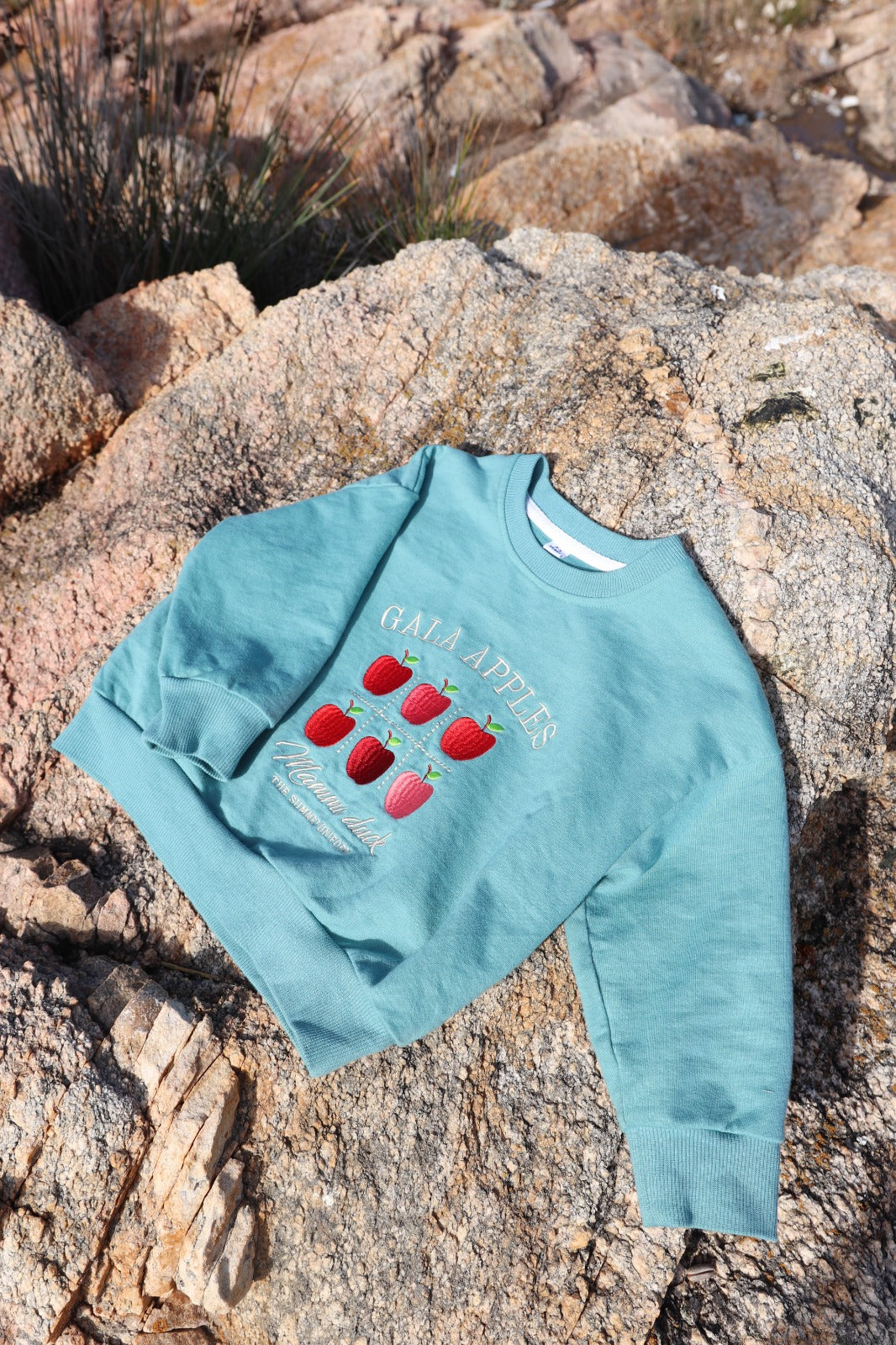 Buzo Manzanas- Adulto