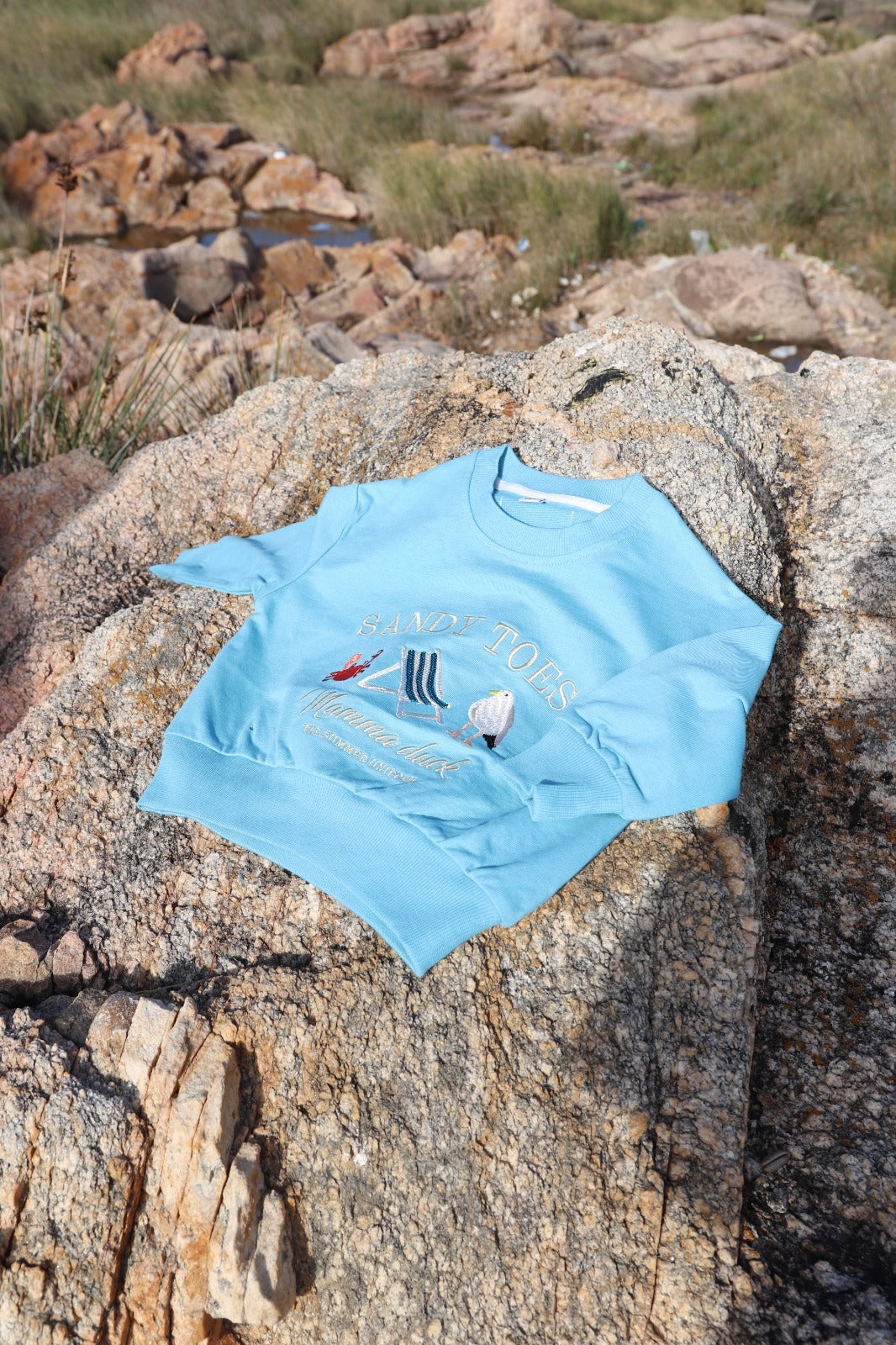 Sweater Manzana niño